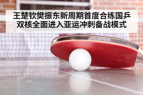 王楚钦樊振东新周期首度合练国乒双核全面进入亚运冲刺备战模式