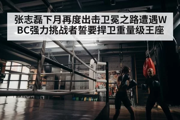 boxer training