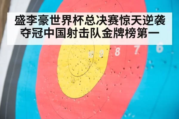 shooting target close up